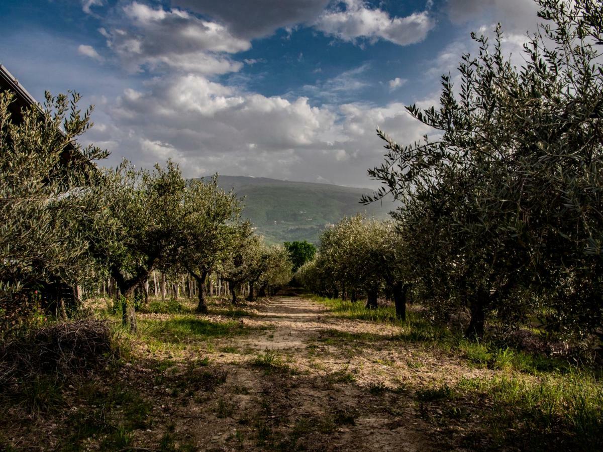 Country House Casale Centurione Villa Manoppello Exterior foto